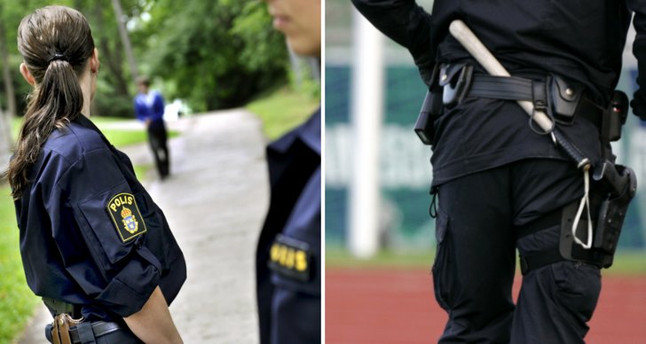 Polisen, Hund, Misshandel, Övervakningsfilm, Batong